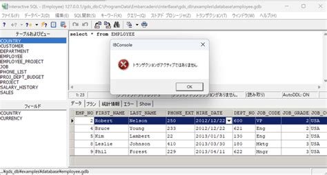 Embarcadero InterBase 2020 v14.1.0.319